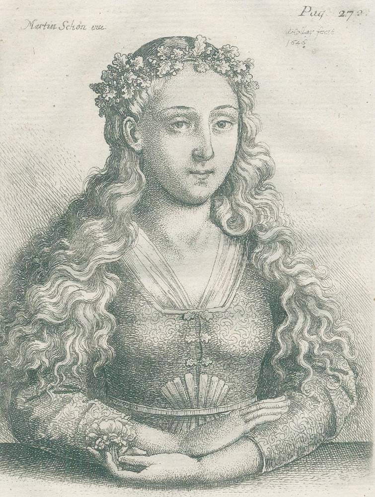 Große Abbildung Nr.1: 138-4009 Hollar, Wenzel: (Künstlergraphik)