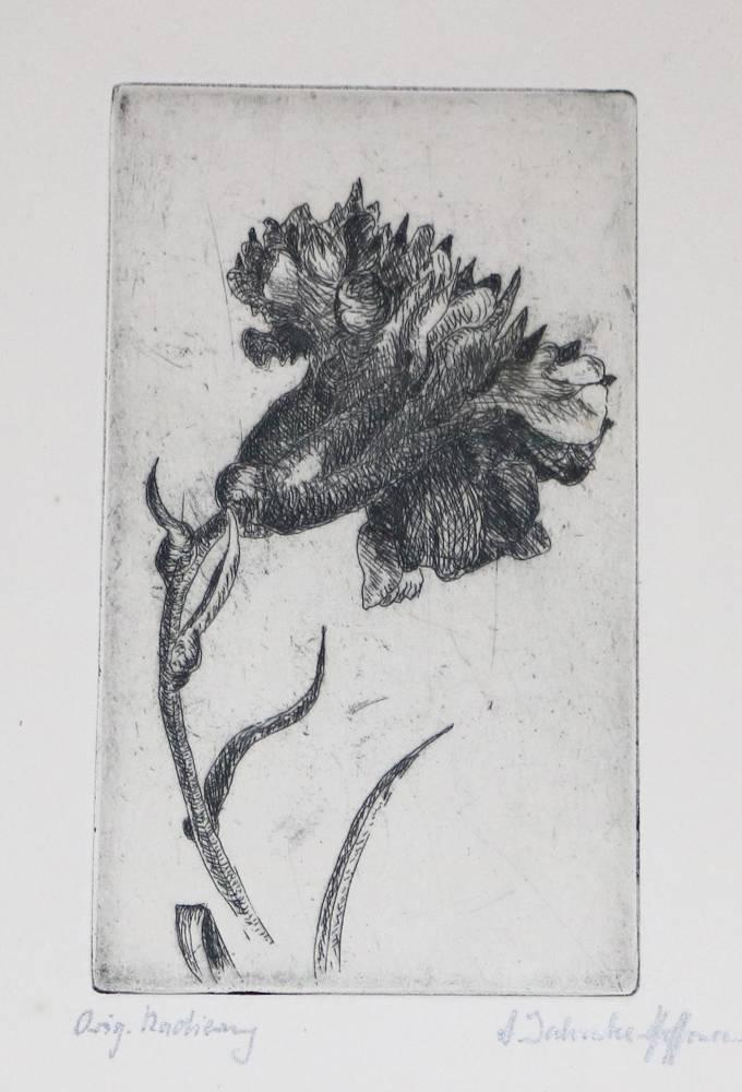 Große Abbildung Nr.2: 138-4022 Jahncke-Hoffmann, Annemarie: (Künstlergraphik)