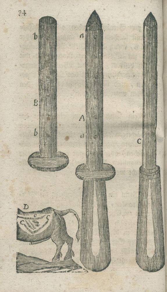 Große Abbildung Nr.2: 138-525 Wanggo,C.: (Juridica und Kriminologie, Österreich)