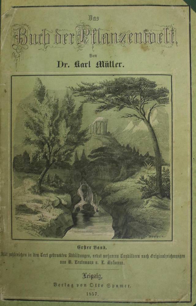 Große Abbildung Nr.1: 138-547 Konvolut: (Konvolut)