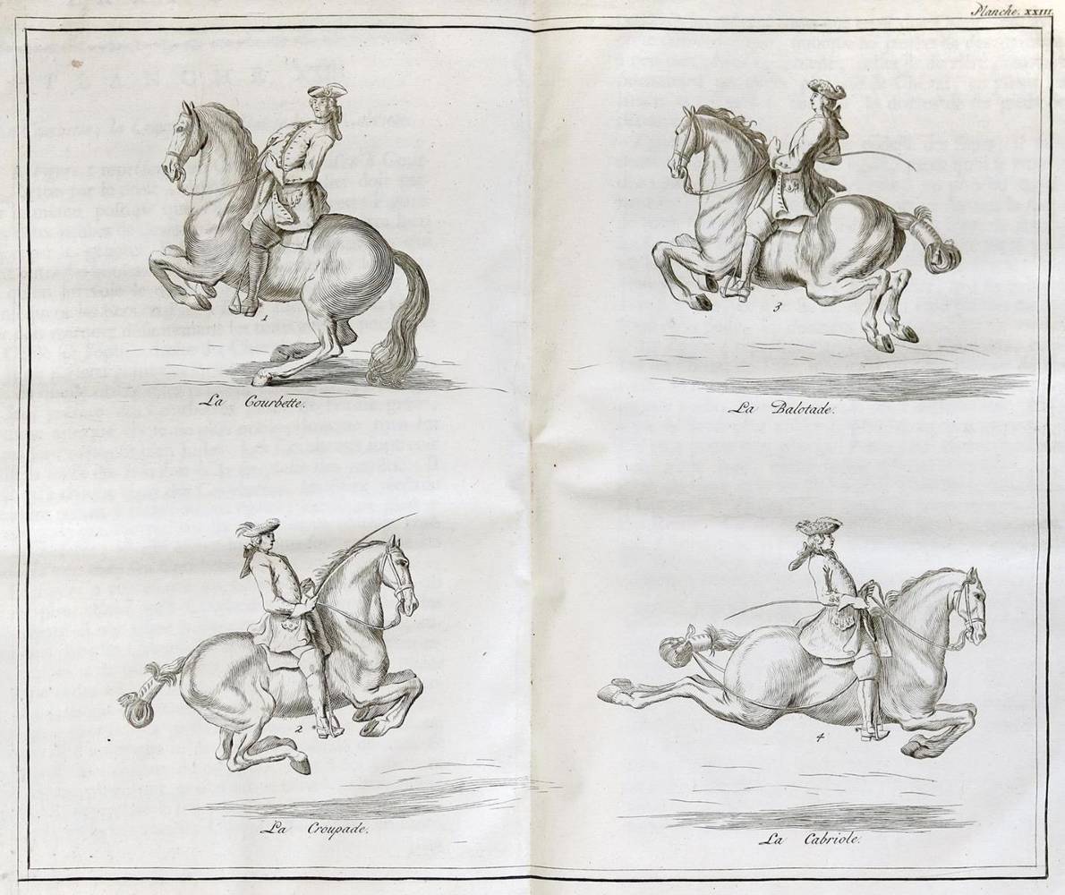 Große Abbildung Nr.1: 138-632 Saunier,G.de.: (Militaria)