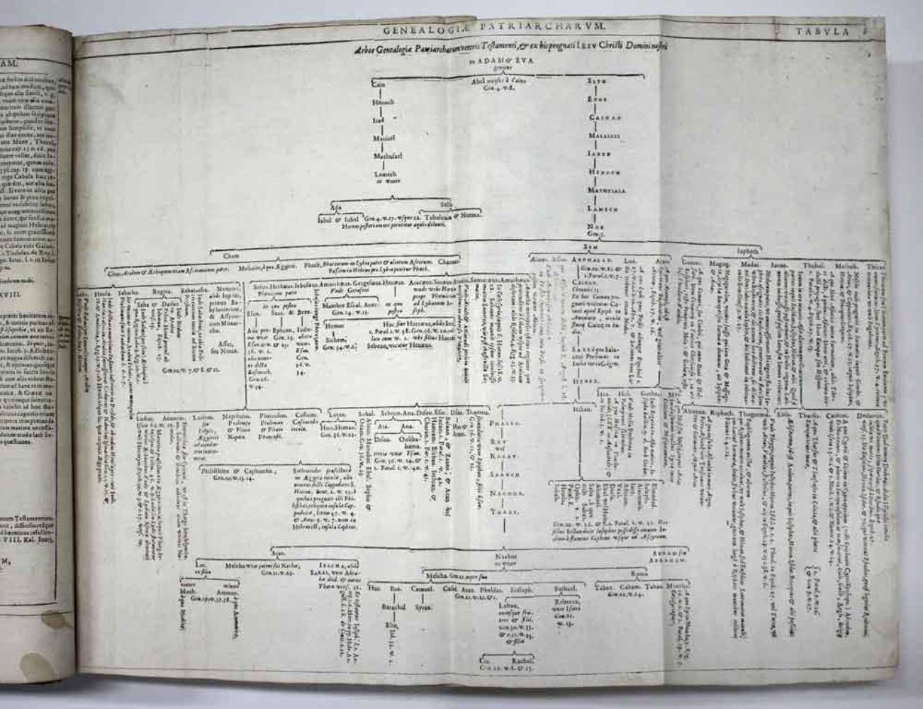 Große Abbildung Nr.4: 138-64 Biblia magna: (Bibeln)