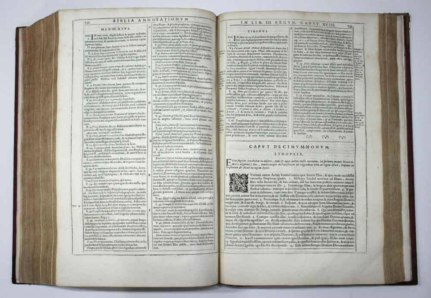 Große Abbildung Nr.6: 138-64 Biblia magna: (Bibeln)