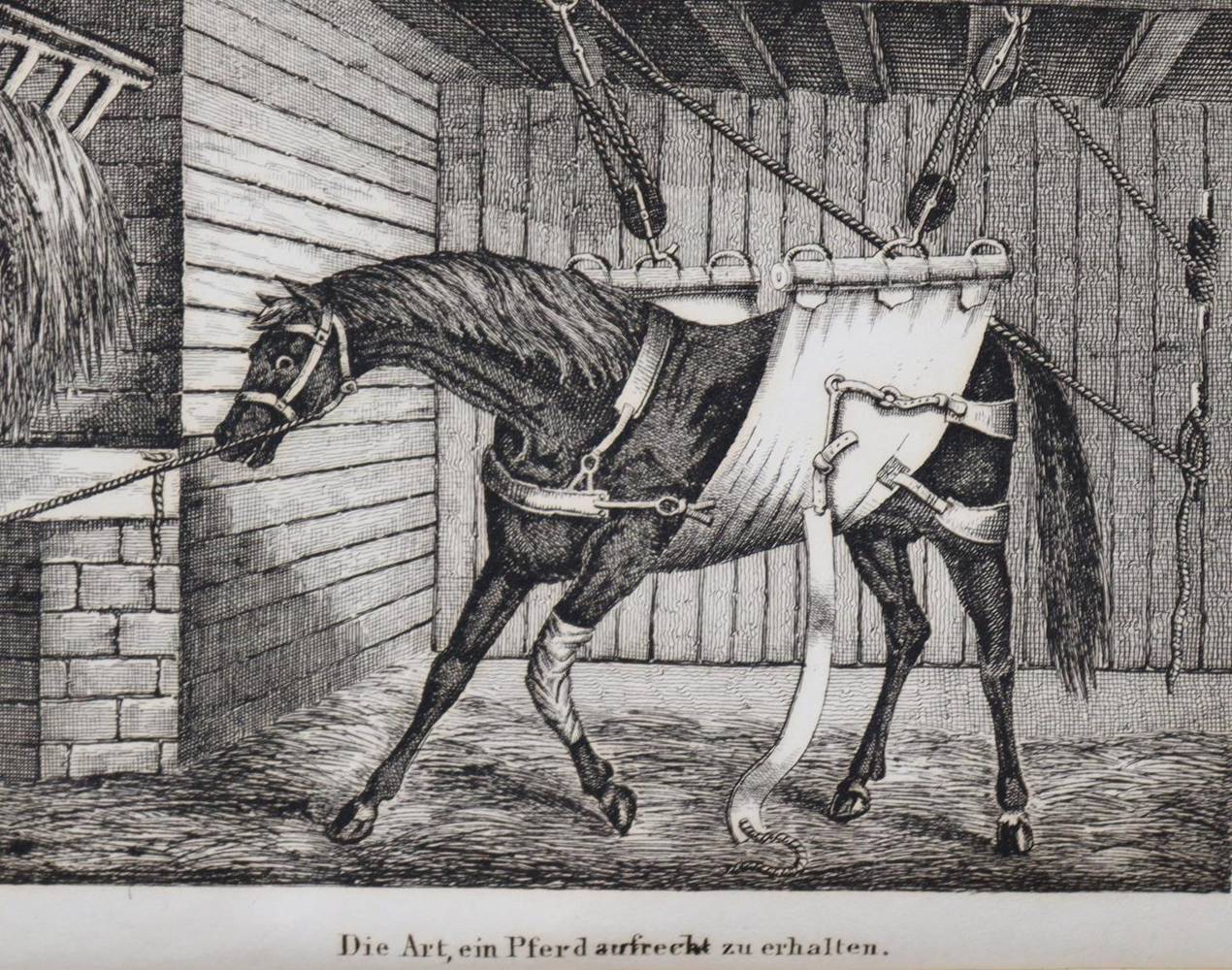 Große Abbildung Nr.2: 138-728 Apperley,C.J.: (Sport, Reitsport)