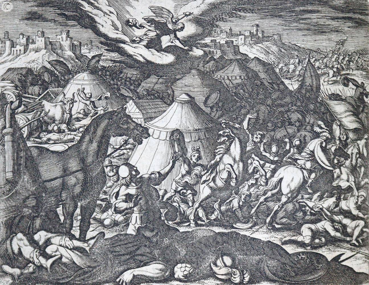 Große Abbildung Nr.8: 138-74 Biblia germanica.: (Bibeln, Merian)