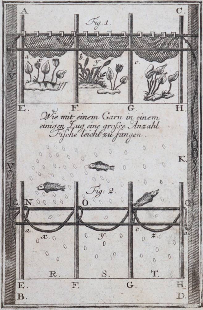 Große Abbildung Nr.2: 138-759 Wohlbewährte Fischgeheimnüsse: (Jagd, Angeln)