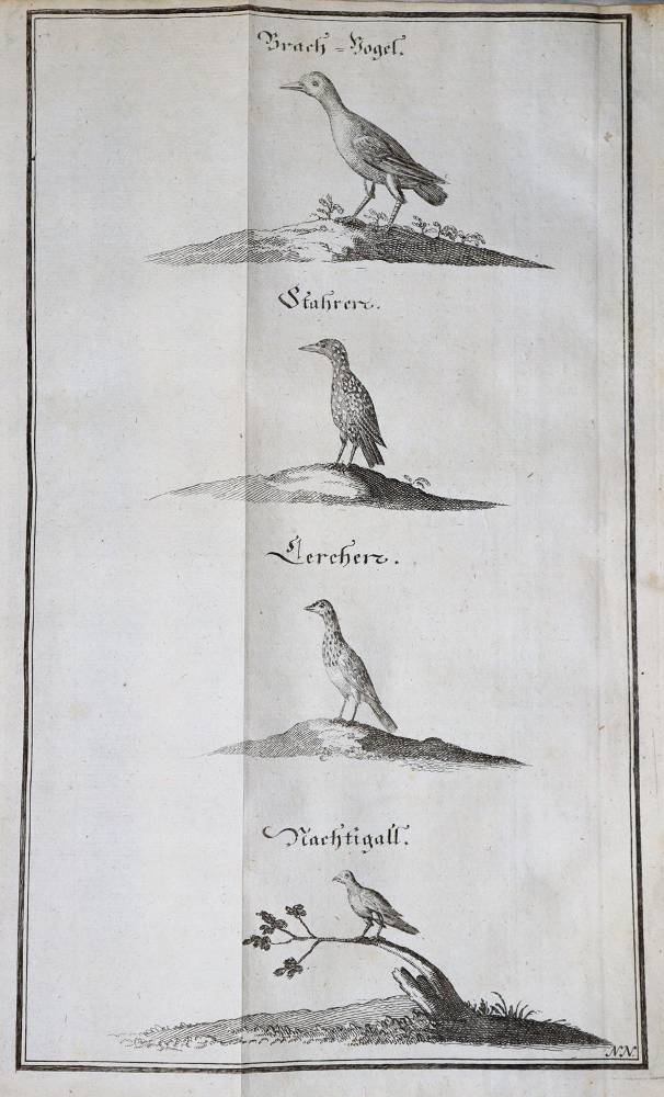 Große Abbildung Nr.3: 138-764 Fleming,H.F.v.: (Jagd)