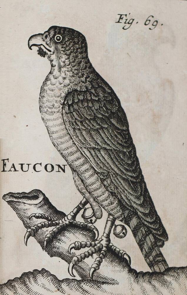 Große Abbildung Nr.3: 138-765 (Fortin de Grandmont F.),: (Jagd)
