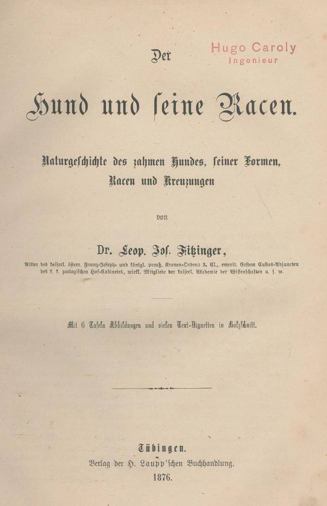 Große Abbildung Nr.1: 138-770 Fitzinger,L.J.: (Jagd, Kynologie)