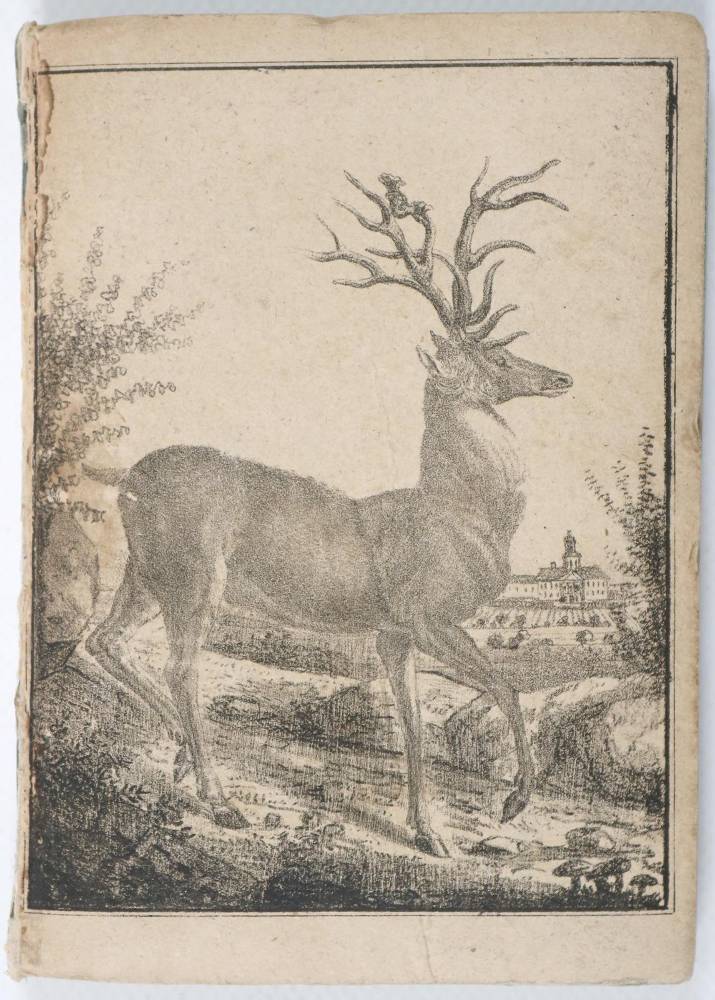 Große Abbildung Nr.1: 138-773 Rainer (von Lindenbüchel) Joh(ann).: (Jagd)