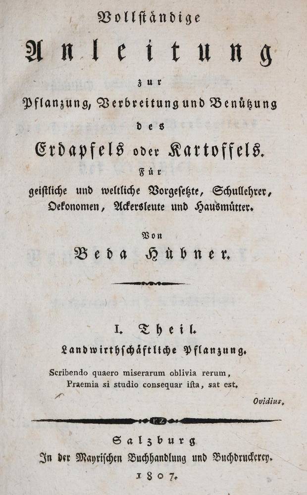 Große Abbildung Nr.1: 138-879 Hübner,B.: (Land- und Forstwirtschaft, Landwirtschaft, Kartoffel)