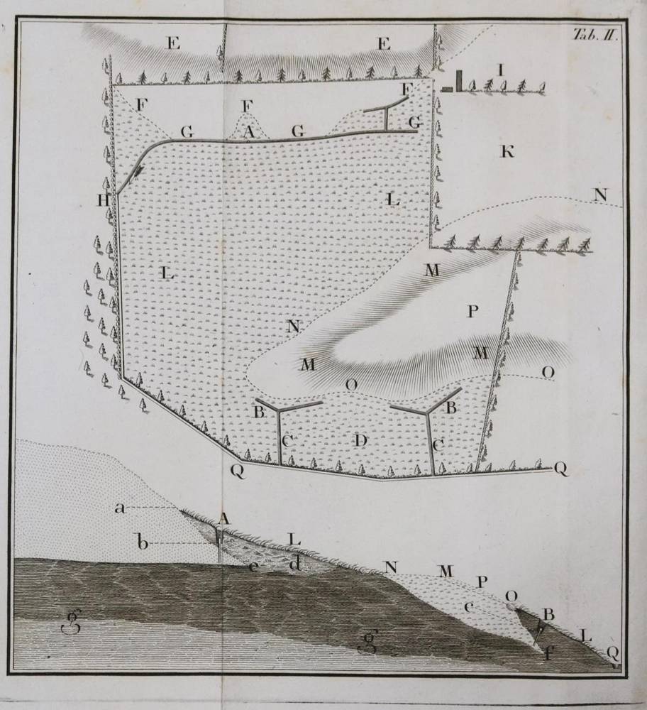 Große Abbildung Nr.2: 138-891 Johnstone,J.: (Land- und Forstwirtschaft, Landwirtschaft, Sumpf)