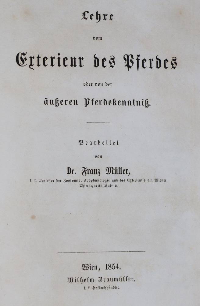 Große Abbildung Nr.3: 138-922 Löffler,K.: (Land- und Forstwirtschaft, Tierhaltung, Pferde)