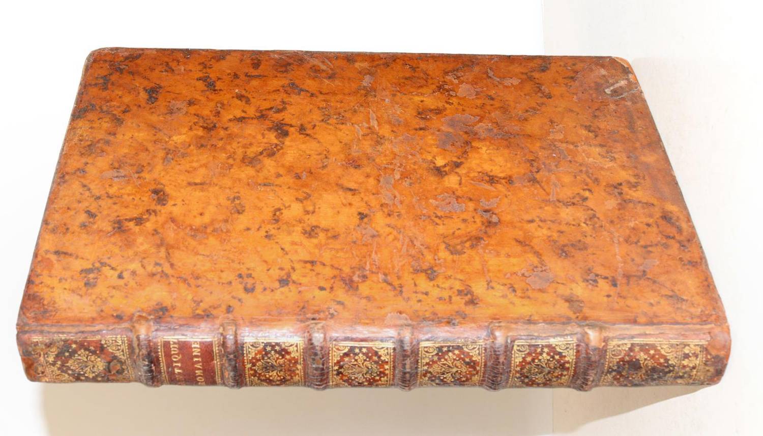 Große Abbildung Nr.5: 138-980 (Nideck,M.A.v.).: (Italien)