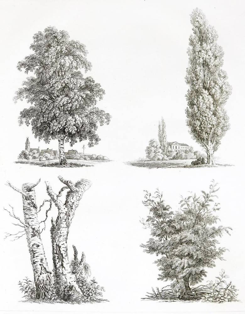 Große Abbildung Nr.2: 138-992 Wagner,J.J.: (Landschaft)