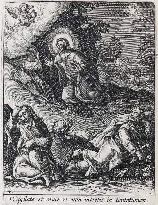 Bild Nr.1: 138-101 Collaert, Adriaen: (Alte Drucke, Handschriften und Theologie)