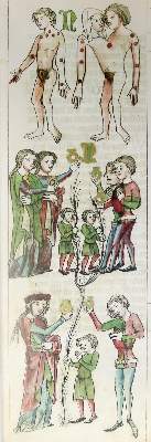 Bild Nr.1: 138-1127 Wolfenbütteler Sachsenspiegel.: (Faksimile)