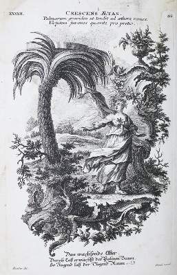 Bild Nr.3: 138-120 Ripa,C.: (Emblemata)