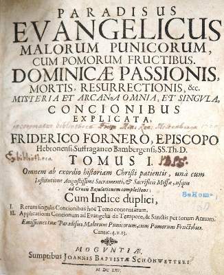 Bild Nr.1: 138-129 Förner,F.: (Alte Drucke, Handschriften und Theologie)