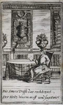Bild Nr.2: 138-1417 (Richter,C.G.).: (Literatur und illustrierte Bücher bis 19.Jahrhundert)