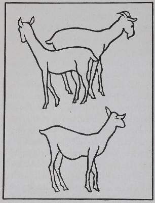 Bild Nr.1: 138-1548 Longus.: (Maillol)