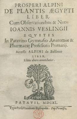 Bild Nr.1: 138-1616 Alpini,P.: (Botanik, Ägypten)