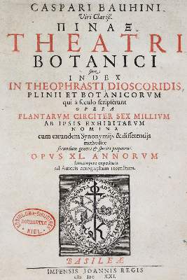 Bild Nr.1: 138-1620 Bauhin,C.: (Botanik)