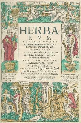 Bild Nr.1: 138-1637 Brunf(els),O.: (Botanik, Kräuterbücher)