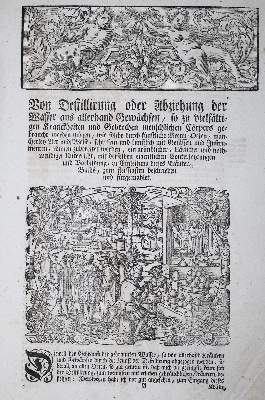 Bild Nr.3: 138-1641 (Lonicer,A.: (Botanik, Kräuterbücher)
