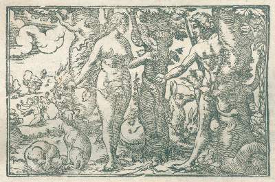 Bild Nr.2: 138-1643 Lonicer,A.: (Botanik, Kräuterbücher)