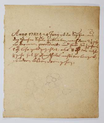 Bild Nr.3137: 138-1647 Morgenstern, Friedrich Wilhelm Christoph: (Botanik)