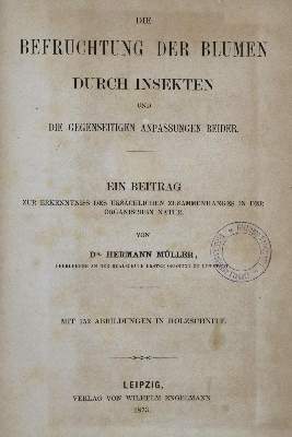 Bild Nr.1: 138-1648 Müller,H.: (Botanik)