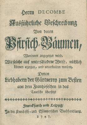 Bild Nr.1: 138-1652 Combles,Ch.J.de),: (Botanik, Pfirsiche)