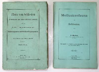 Bild Nr.1: 138-1662 Merkel,E.: (Botanik, Schlesien)