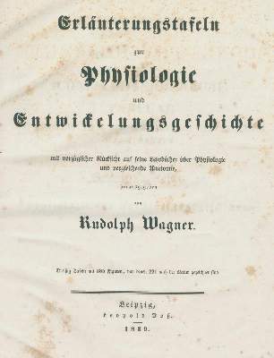Bild Nr.1: 138-1676 Wagner,R.: (Medizin, Anatomie)