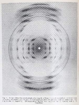Bild Nr.7: 138-1759 Watson,J.D. u.a.: (Medizin)