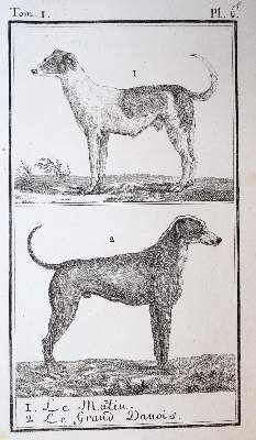 Bild Nr.5: 138-1765 Buffon,(G.L.L.)de.: (Zoologie)