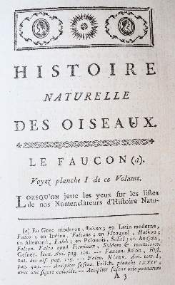 Bild Nr.6: 138-1765 Buffon,(G.L.L.)de.: (Zoologie)