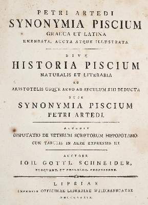 Bild Nr.1: 138-1767 Artedi,P.: (Zoologie, Fische)