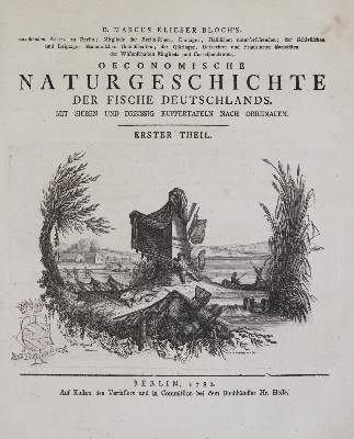 Bild Nr.1: 138-1769 Bloch,M.E.: (Zoologie, Fische)