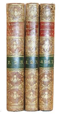 Bild Nr.2: 138-1769 Bloch,M.E.: (Zoologie, Fische)