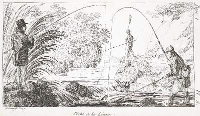 Bild Nr.1: 138-1771 Kresz,A.: (Zoologie, Fische)