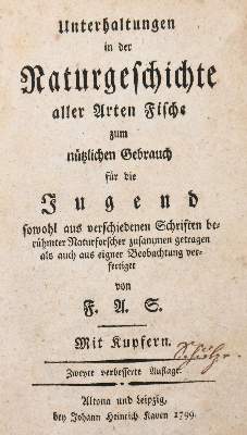 Bild Nr.2: 138-1772 (Scheuereck),F.A.: (Zoologie, Fische)