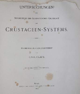 Bild Nr.3: 138-1781 Claus,C.: (Zoologie, Krebse)