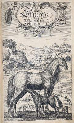 Bild Nr.2: 138-1792 Winter (von Adlersflügel),G.S.: (Zoologie, Pferde)