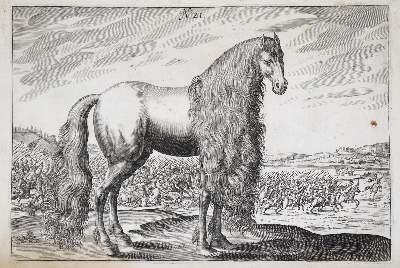 Bild Nr.3: 138-1792 Winter (von Adlersflügel),G.S.: (Zoologie, Pferde)