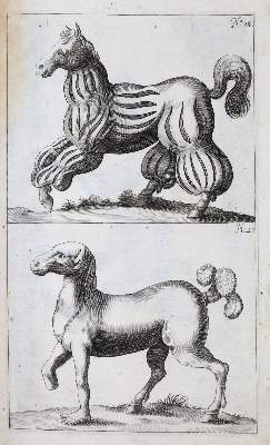 Bild Nr.4: 138-1792 Winter (von Adlersflügel),G.S.: (Zoologie, Pferde)