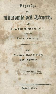 Bild Nr.1: 138-1804 Beyträge: (Zoologie, Tiger)