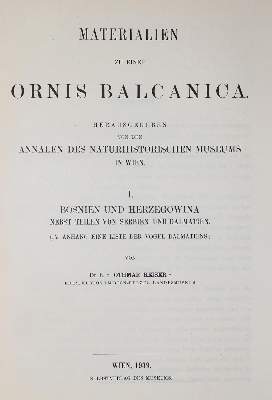 Bild Nr.1: 138-1811 Reiser,O.: (Zoologie, Vögel)