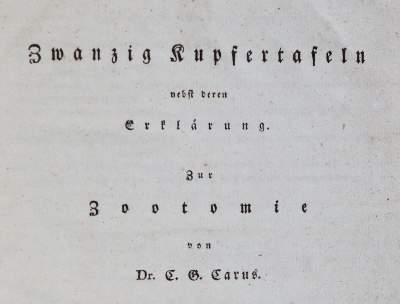 Bild Nr.1: 138-1817 (Carus,C.G.: (Zoologie, Zootomie)